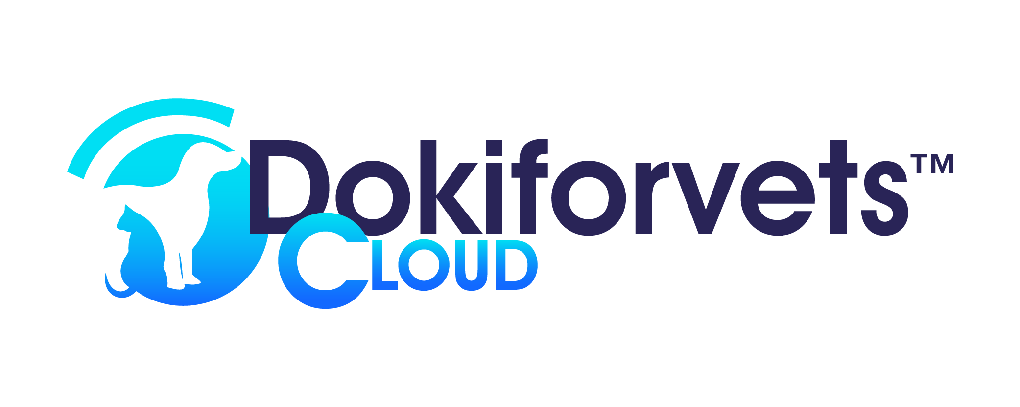 DokiForVets Cloud logo